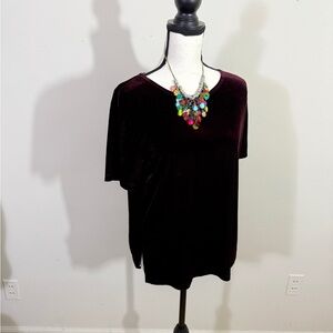 Elegant Velvet Short Sleeve Top in Rich burgundy